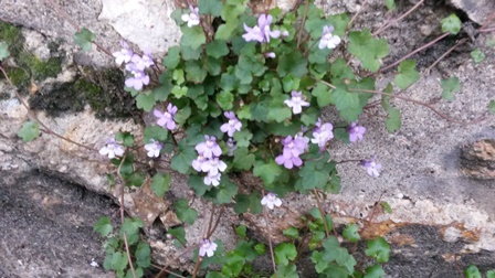 Annexe C2 20042018 V.jpg