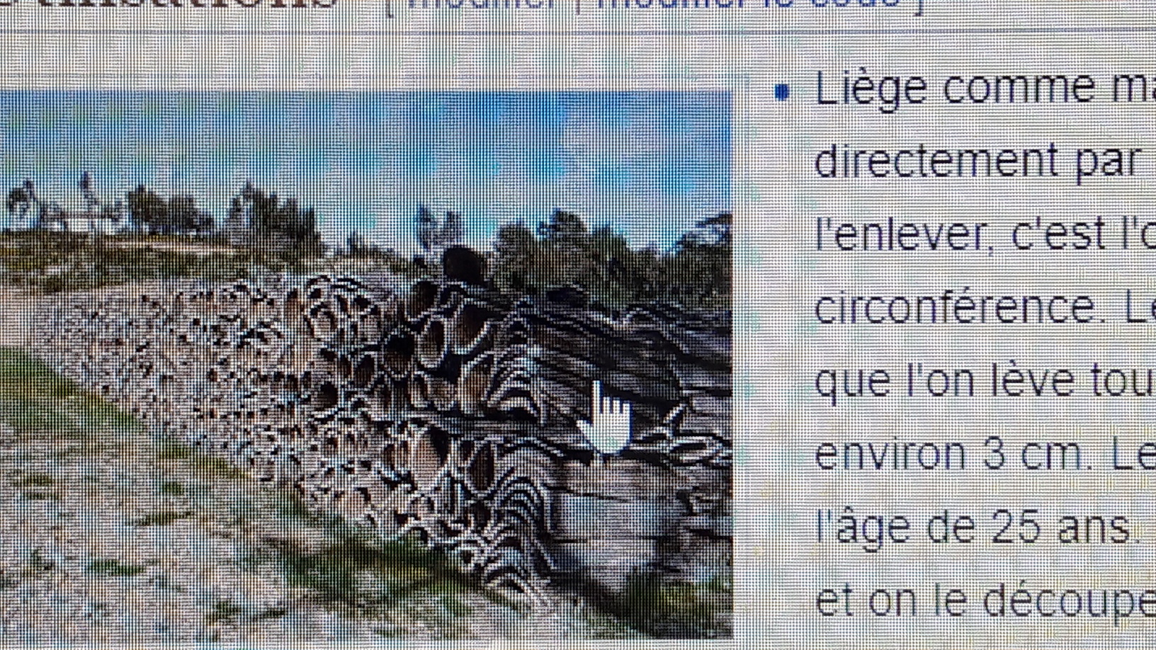 Annexe 20180417_135924_resized.jpg