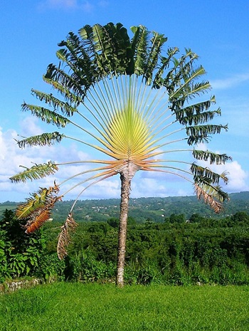 Annexe photo_1501015_w630.jpg