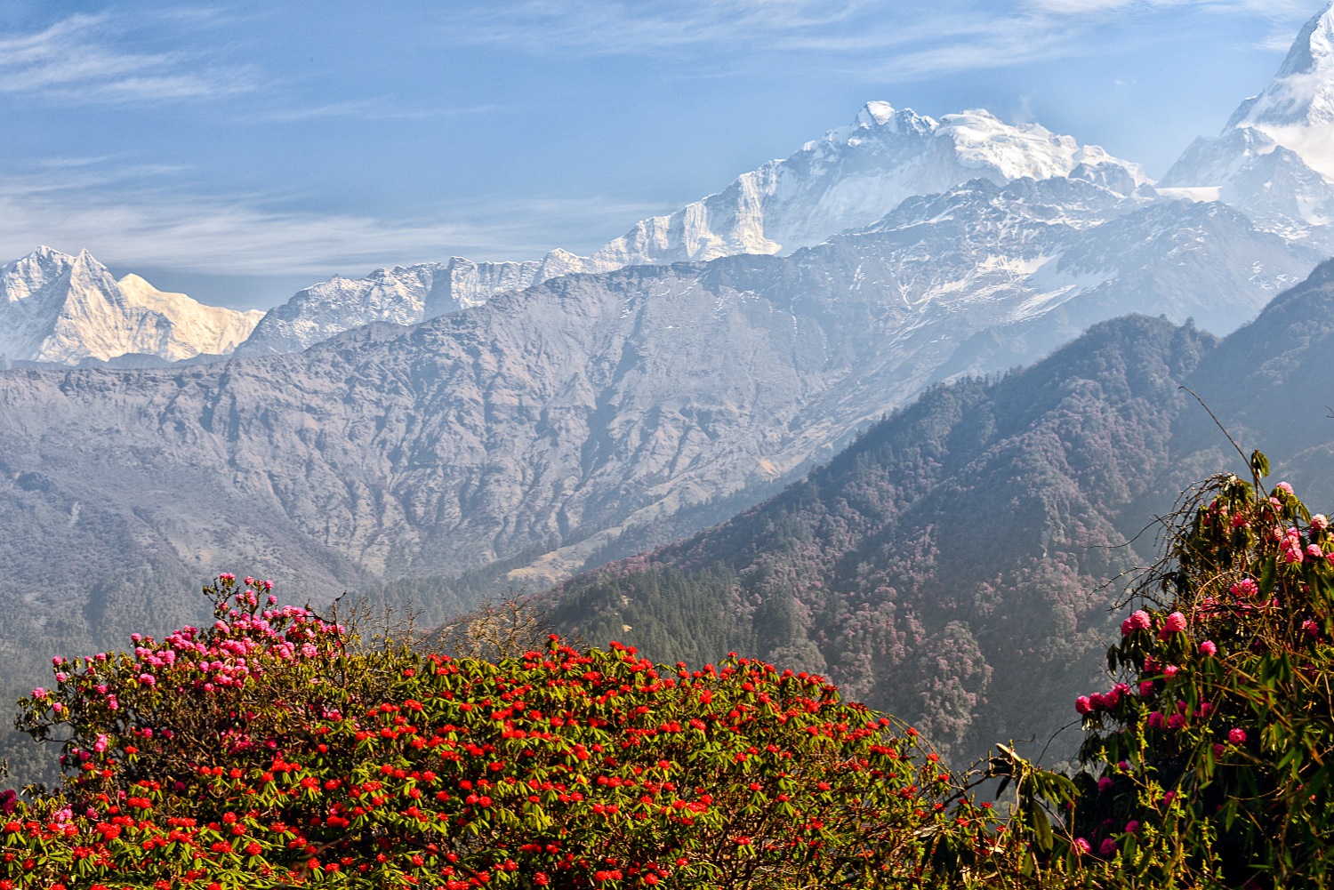 Annexe nepal-2013-794.jpg