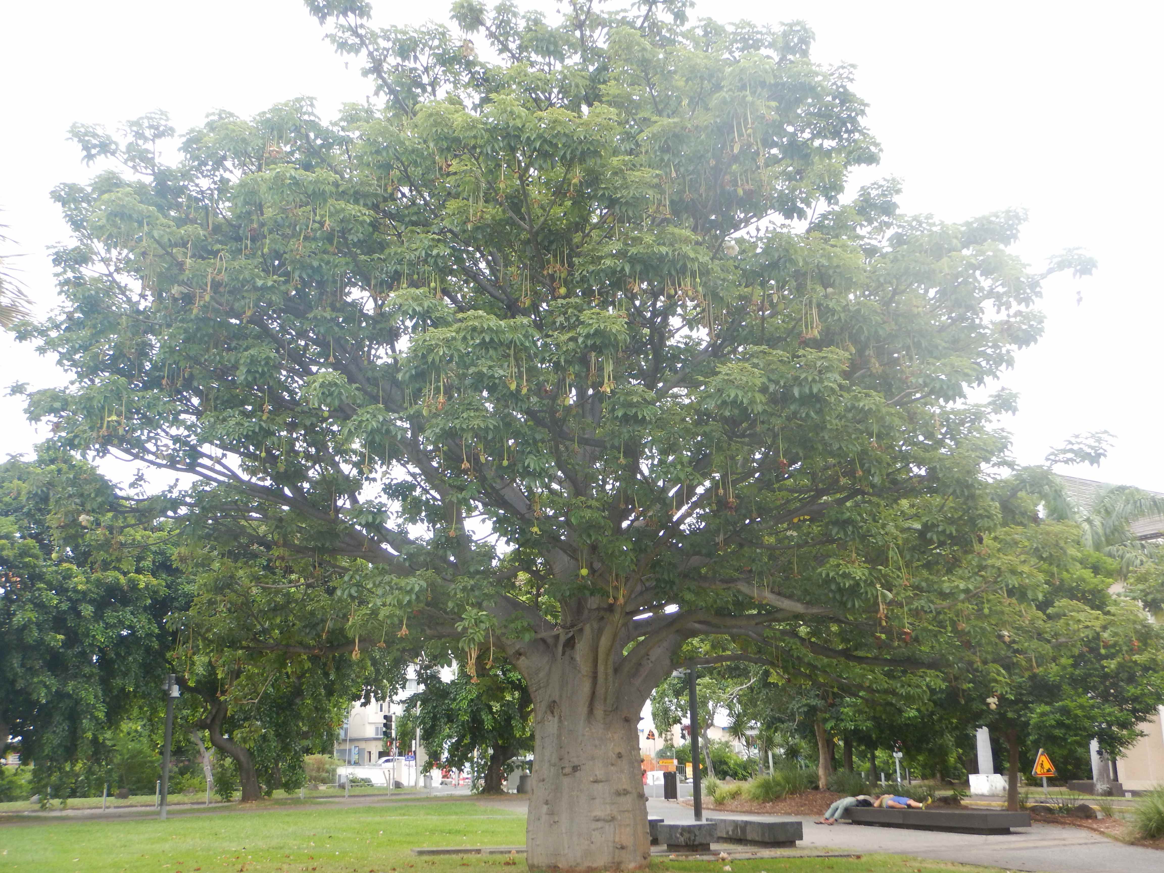 Annexe DSCN7789bis.jpg