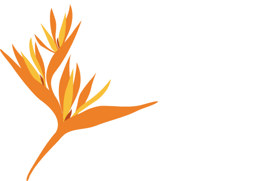 Annexe cmt_logo_negatif.png