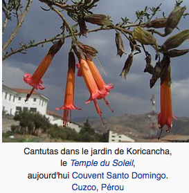 Annexe Wikipedia.png