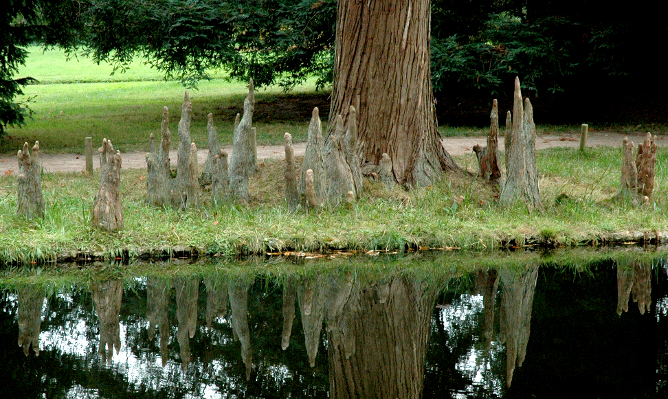 Annexe 4s1awo8ihgo4sws0so8ow48so-source-11551959.jpg