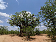 Annexe 38819076244_7d21069966_m.jpg