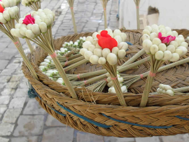 Annexe Jasmin-corbeille.jpg