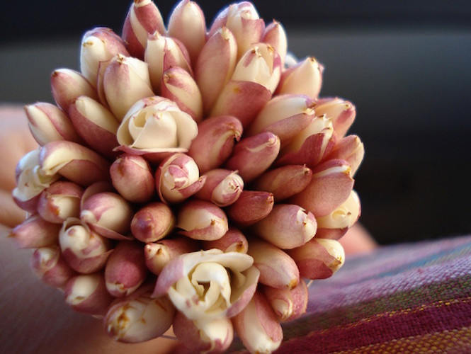 Annexe images.pdf.jpg