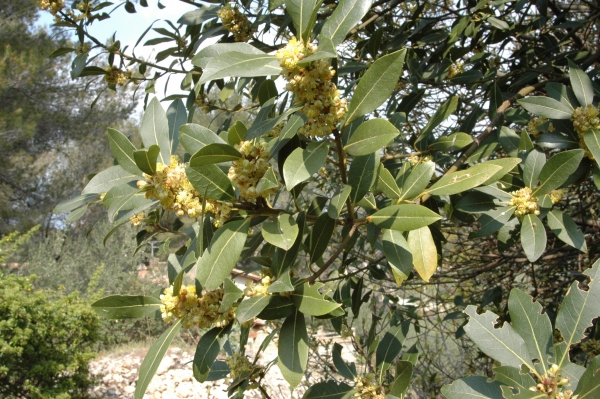 Annexe img_000007718L.jpg