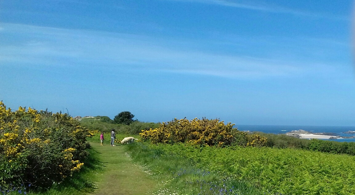 Annexe 20180503_140058-1_resized.jpg