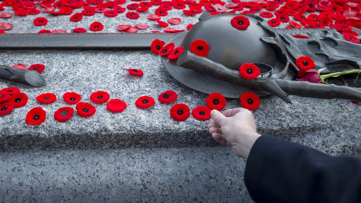 Annexe PC_141111_l27xx_coquelicots-jour-souvenir_sn1250.jpg