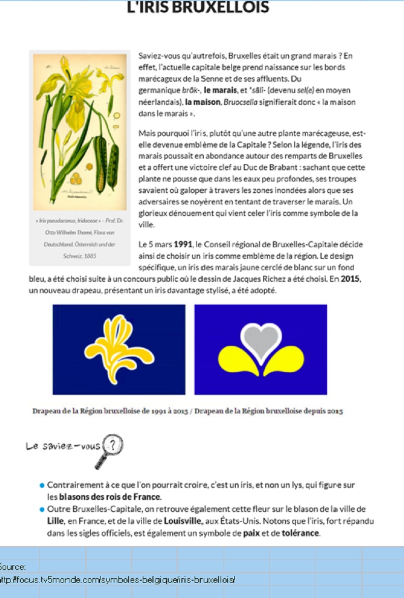 Annexe Iris pseudacorus.jpg