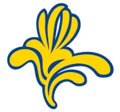 Annexe Capture d’écran 2018-05-08 à 23.55.38.png