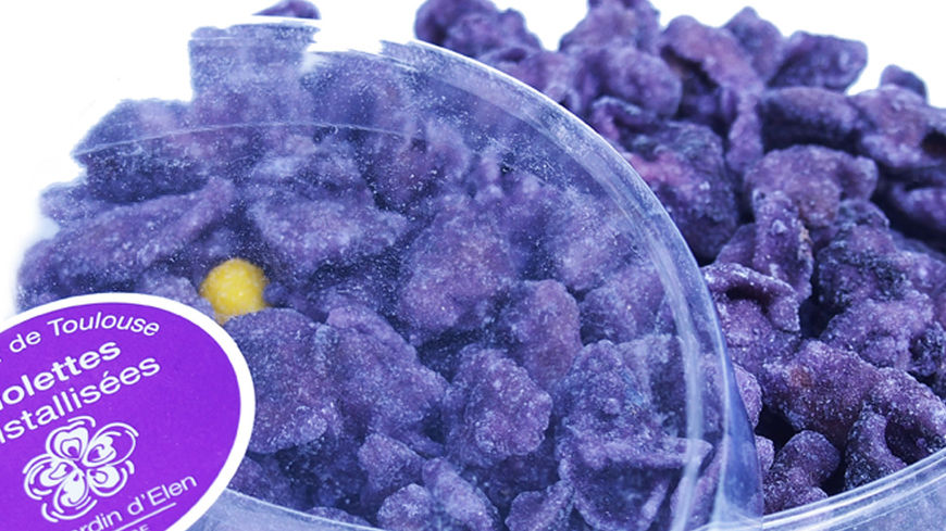 Annexe 870x489_violettes-1000-563.jpg