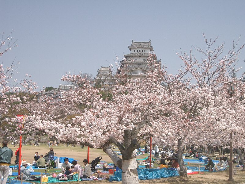 Annexe Castle_Himeji_sakura02.jpg