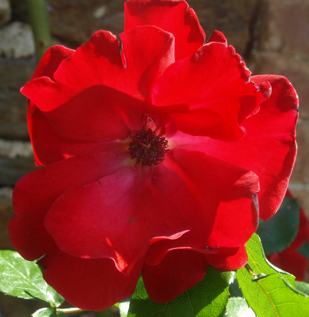 Annexe ob_f0dd36_egkantine.jpg