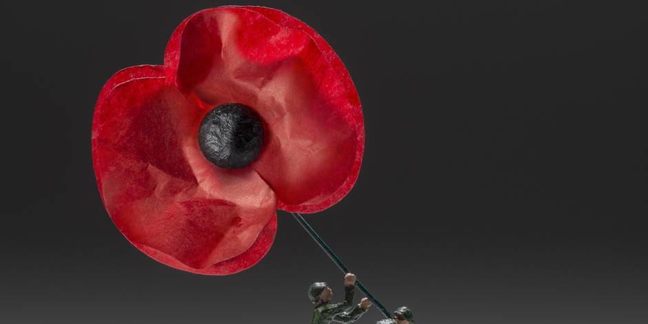 Annexe Coquelicot embleme souvenir combattants.jpg