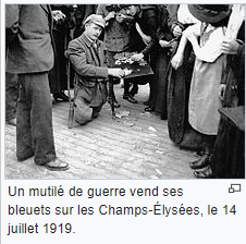 Annexe bleuet histo.PNG