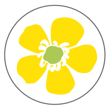 dans un cercle blanc, une représentation schématique de cette fleur