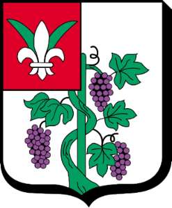 D'argent au cep de vigne de sinople, mouvant de la pointe, fruité de pourpre, au franc-quartier de gueules à la fleur de lys d'argent d'où naissent 2 palmes de sinople.