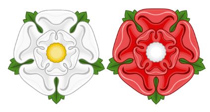 roses angleterre