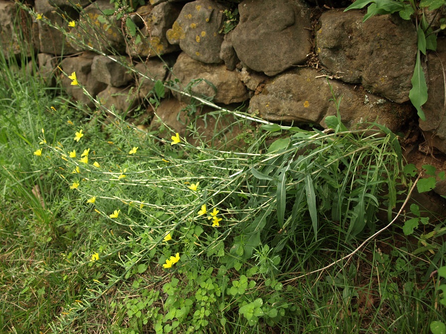 Annexe P8121656R.jpg