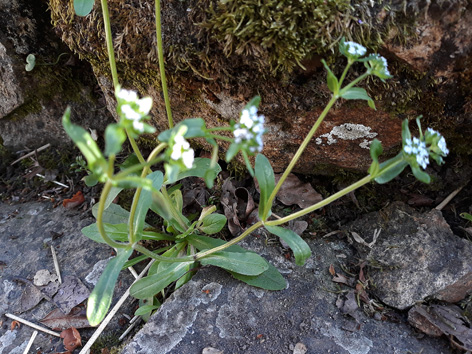 Annexe 20180424_082934.jpg