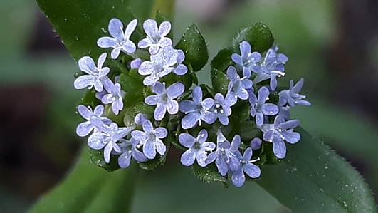 Annexe CM180423-160306001.jpg