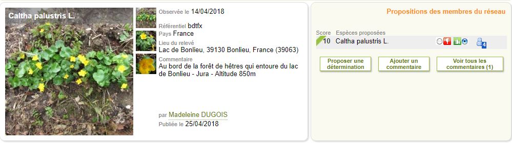 Annexe Confirmation IdentiPlante.JPG