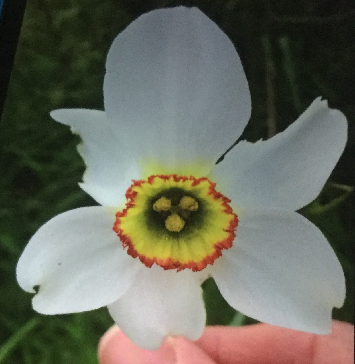 Annexe 2DC5F491-557E-4F3D-9032-D880155DA03C.jpeg