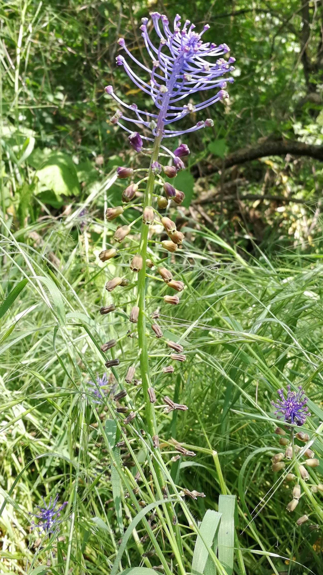 Annexe IMG_20180508_132137.jpg