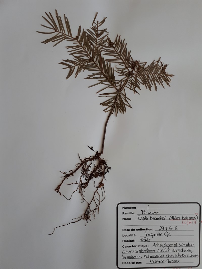 Annexe 20180514_134853 [800x600].jpg