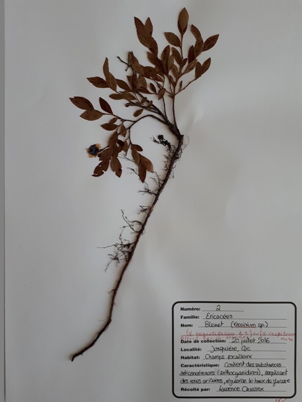 Annexe 20180514_134910 [800x600].jpg