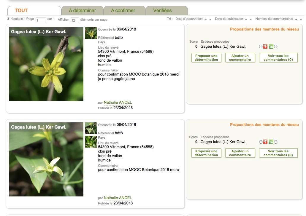 demande identification Identiplante