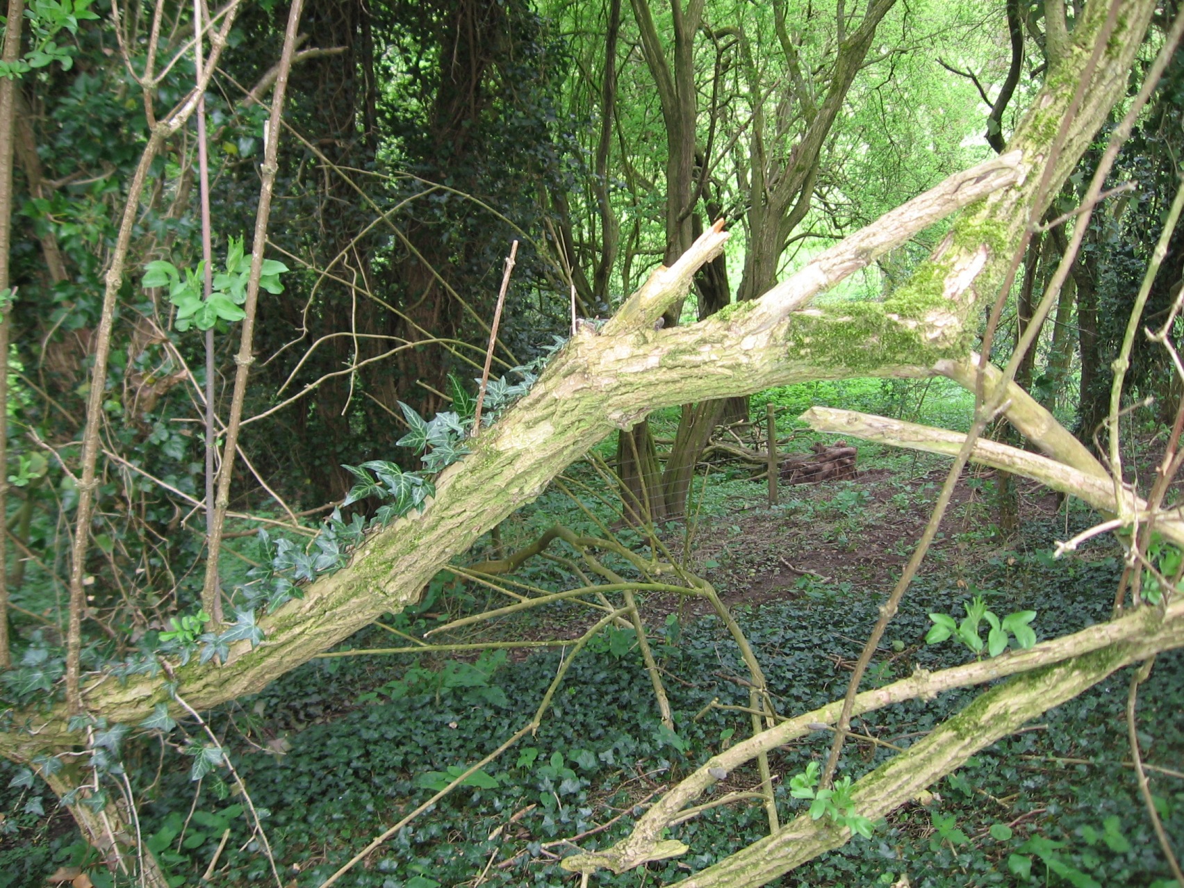 Annexe Interactions.jpg