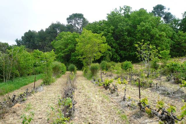 Annexe interactions 004.JPG