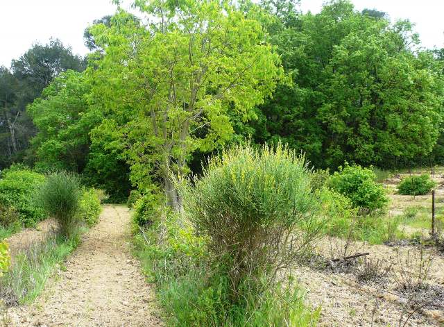 Annexe interactions 006.JPG