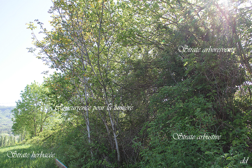 Annexe IMG_6368-2.jpg