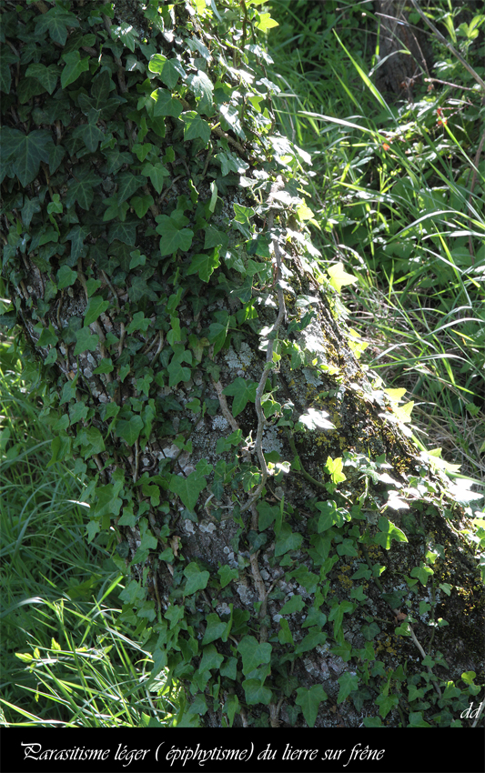 Annexe IMG_6366-2.JPG