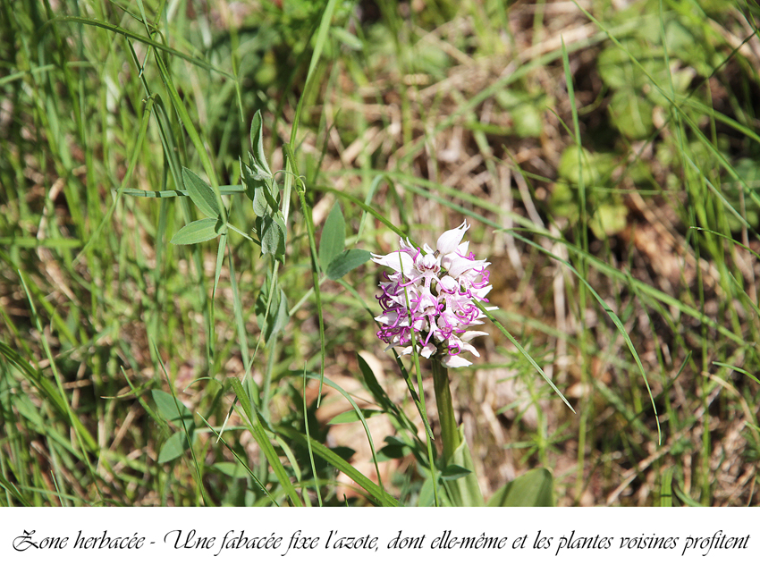 Annexe IMG_6429-2.JPG