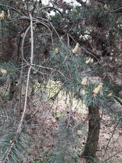 Annexe ix les bains.jpg