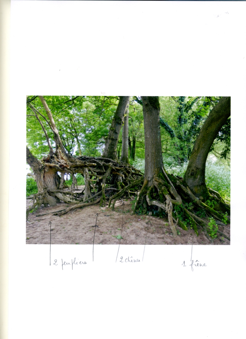 Annexe Ils se soutiennent !.jpg