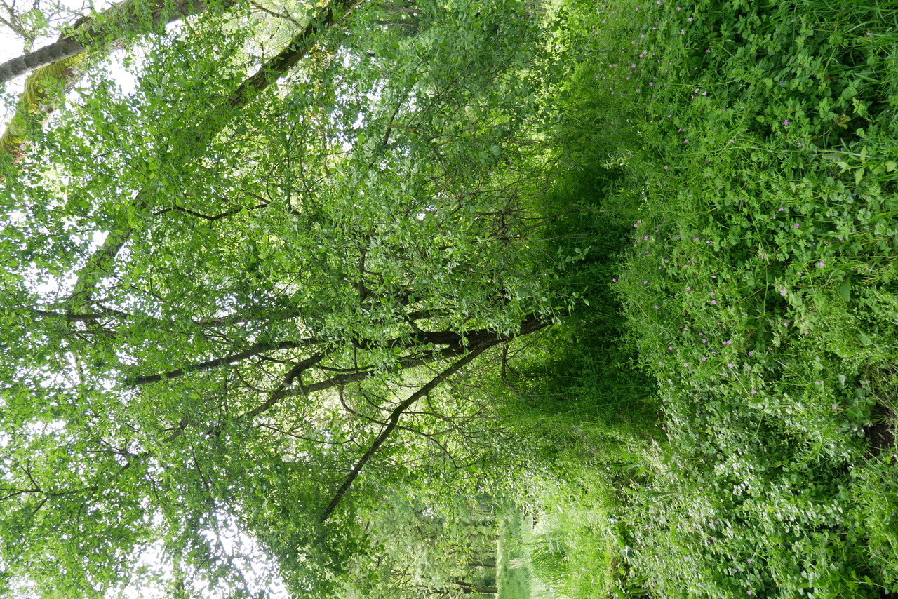 Annexe Toujours plus haut.jpeg