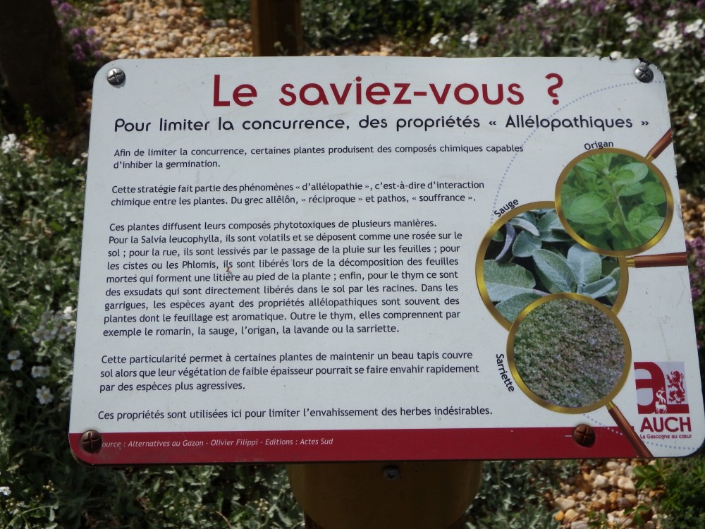 Annexe DSCF3200b.jpg