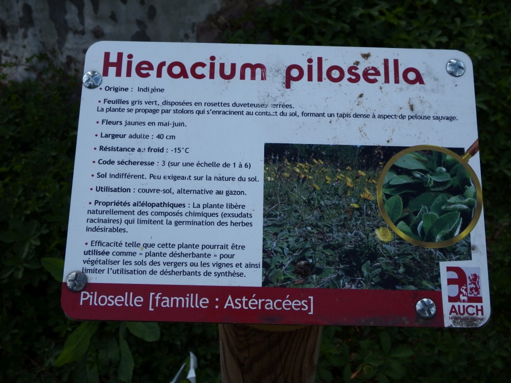 Annexe DSCF3209b.jpg