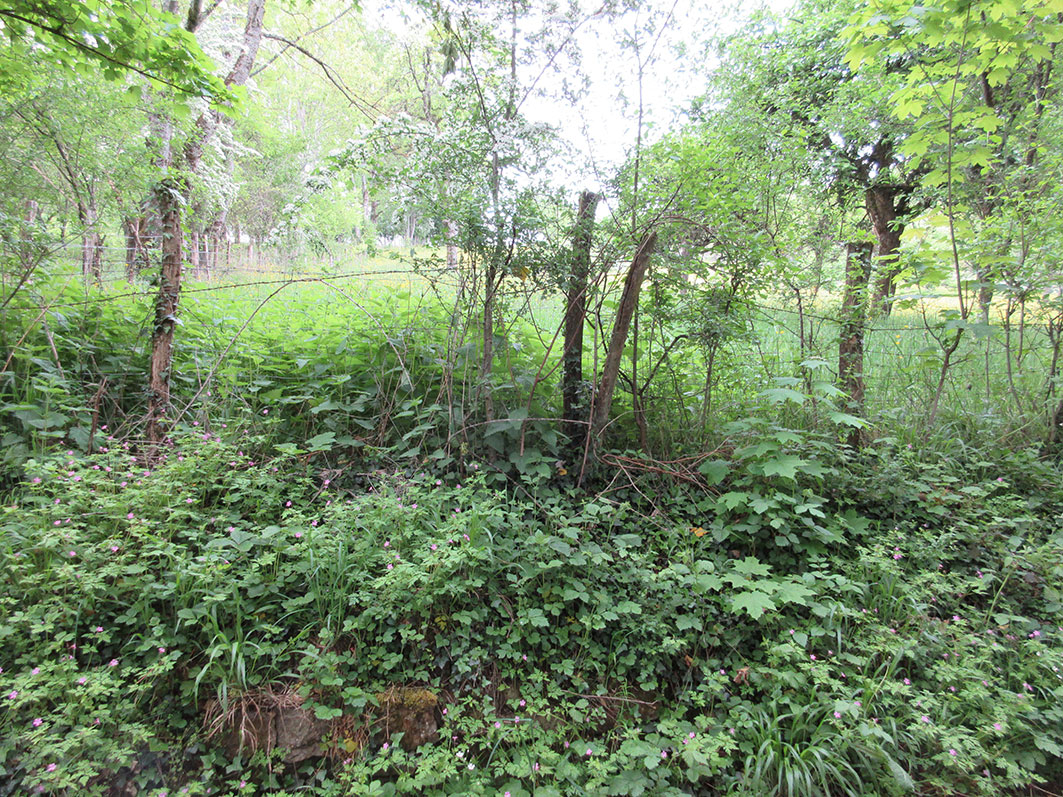 Annexe IMG_0463talus-opt.jpg