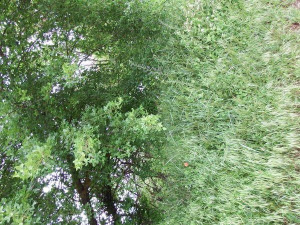 Annexe Interactions.JPG