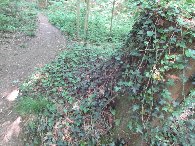 Annexe Meudon Interaction 2.JPG