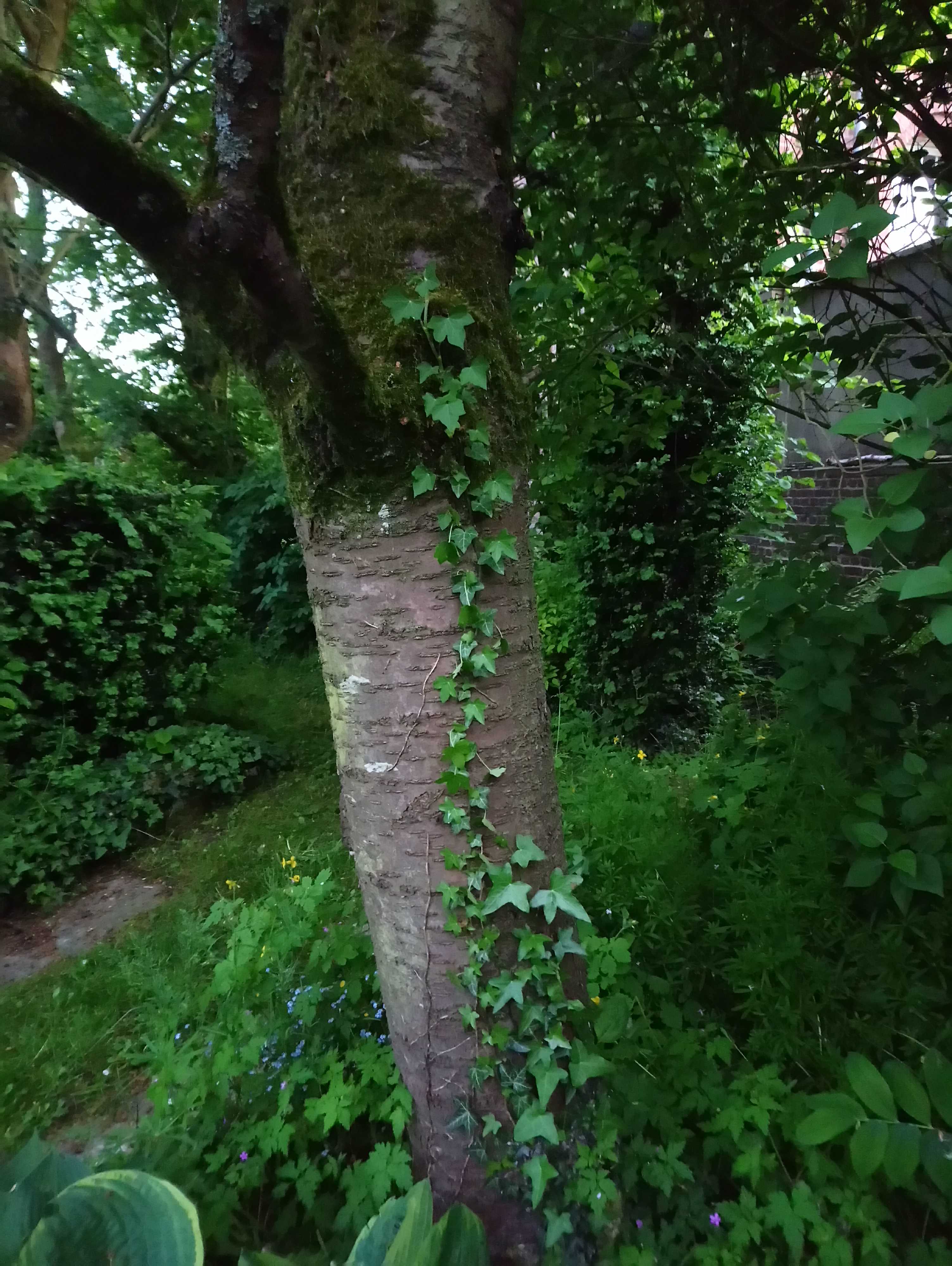 Annexe TP n°3   relations-01-b.jpg