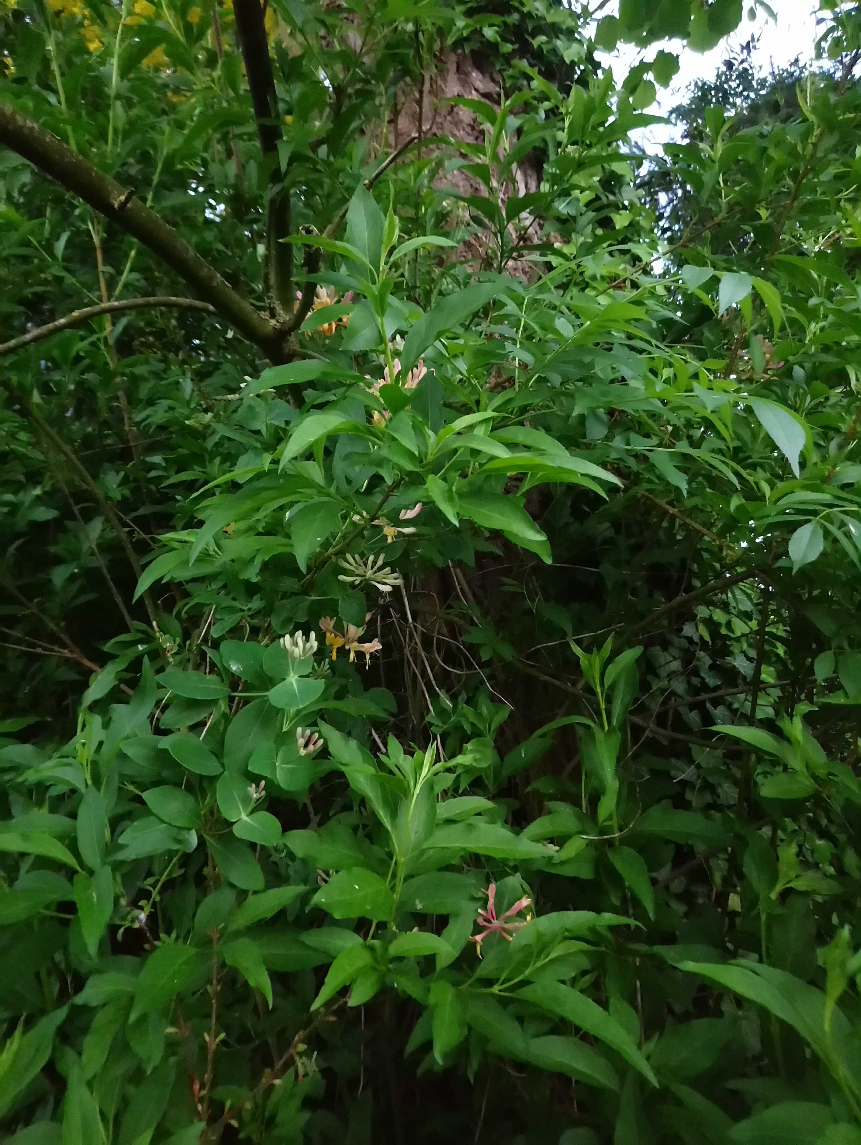 Annexe TP n°3   relations-05-b.jpg