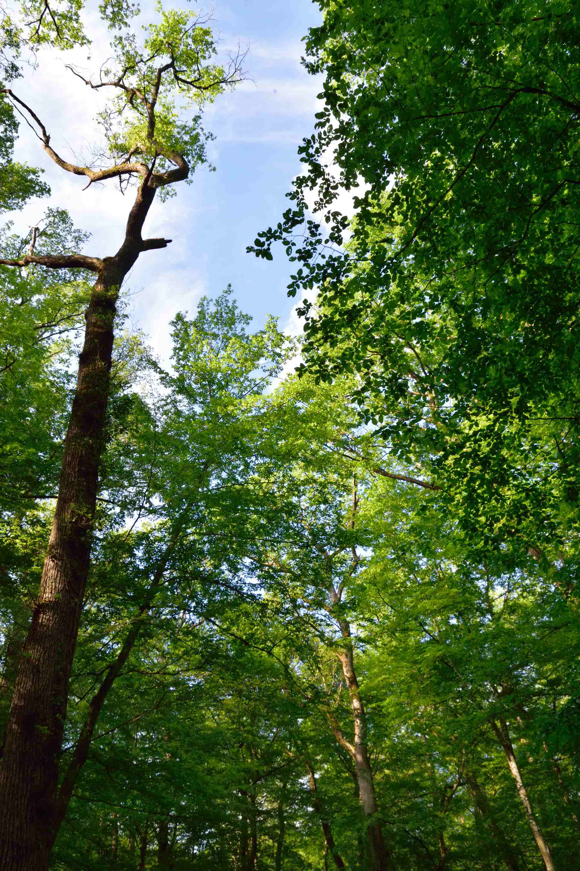 Annexe DSC_0042_02_01.JPG